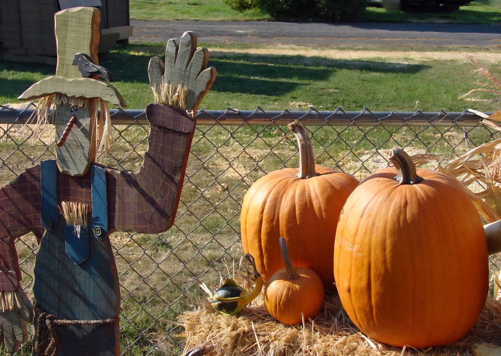 Spokane Pumpkin Patches