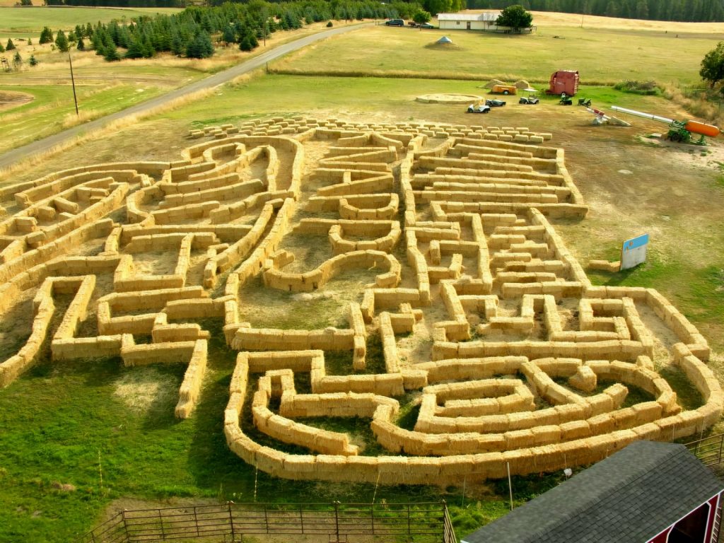 Spokane Pumpkin Patches