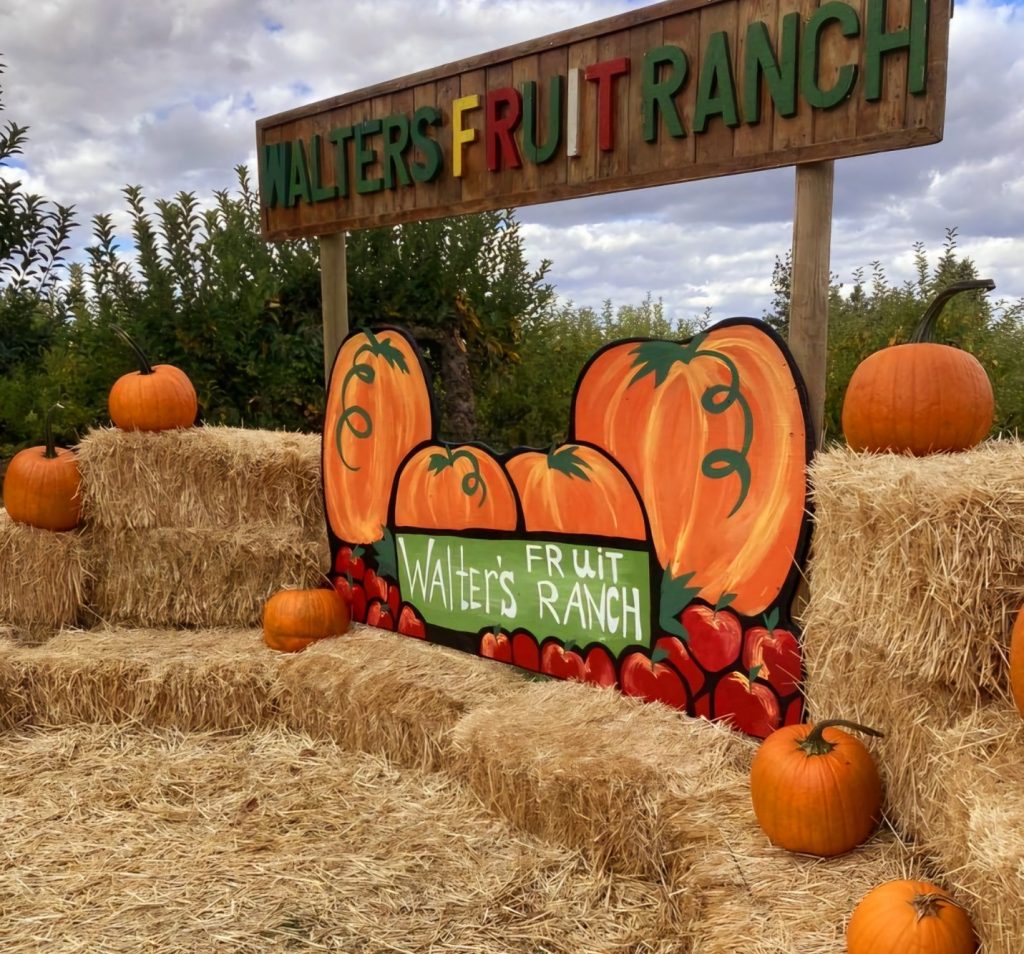 Spokane Pumpkin Patches