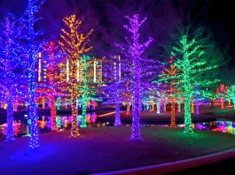 Holiday Lights in Spokane 2024