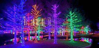 Holiday Lights in Spokane 2024