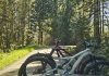 North Slope Trails Olympia