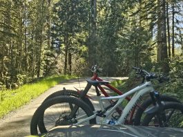 North Slope Trails Olympia