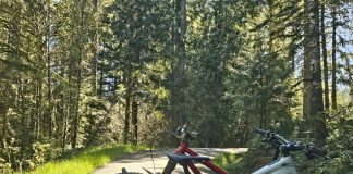 North Slope Trails Olympia