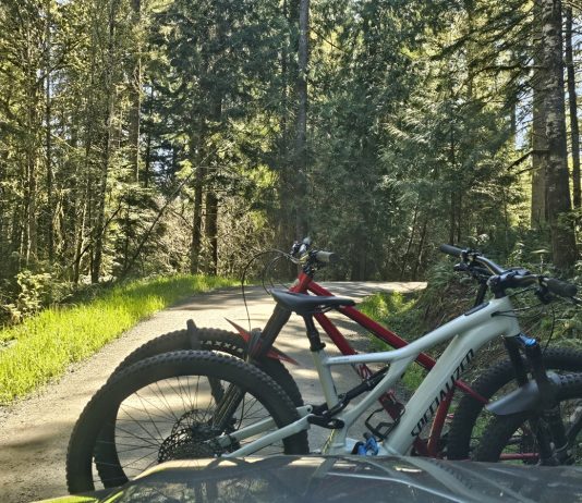 North Slope Trails Olympia