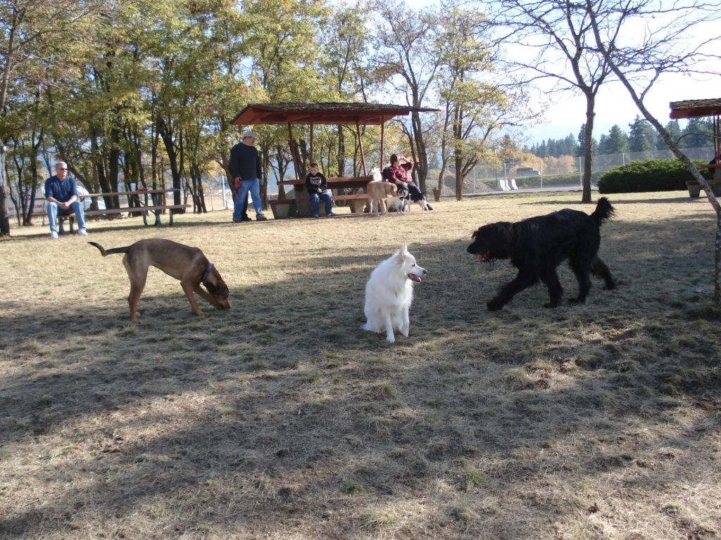 Spokane Dog parks