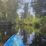 Black River LIttle Rock Washington (4)