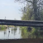 Black River LIttle Rock Washington old bridge