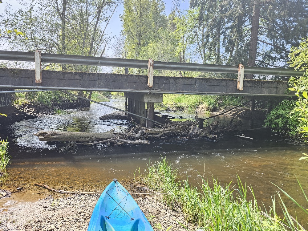 Kayaking near Olympia