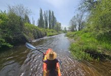 Kayaking near Olympia
