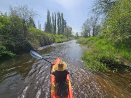 Kayaking near Olympia