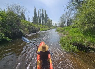 Kayaking near Olympia