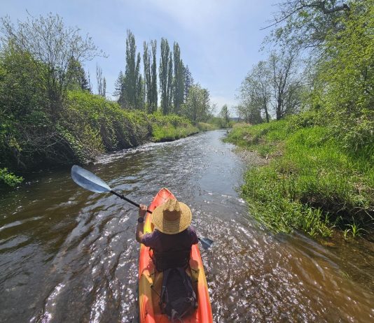 Kayaking near Olympia