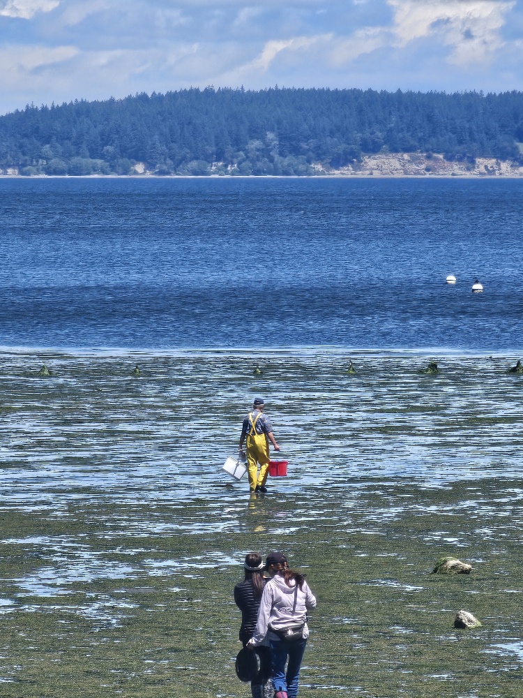 Tolmie State Park Thurston County Washington