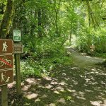 Tolmie State Park Thurston County Washington (13)