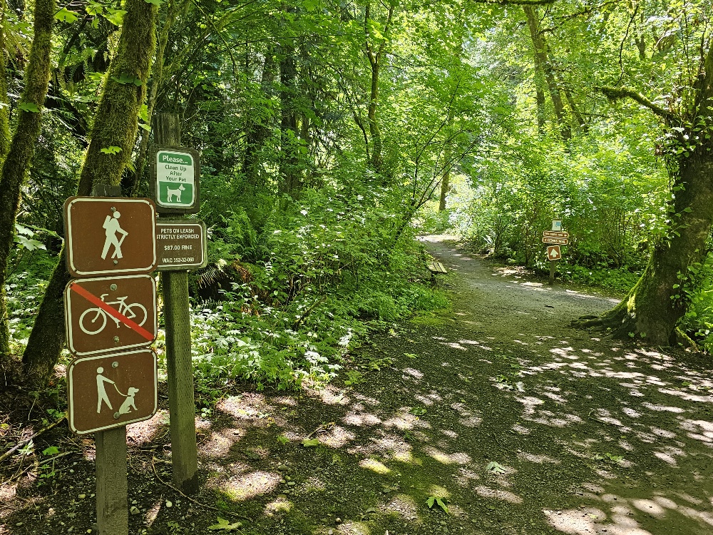 Tolmie State Park Thurston County Washington