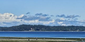 People on the shore at Tolmie State Beach during low tide, with an island in the distance and clouds in the sky