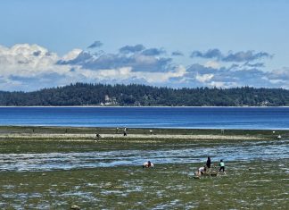 People on the shore at Tolmie State Beach during low tide, with an island in the distance and clouds in the sky