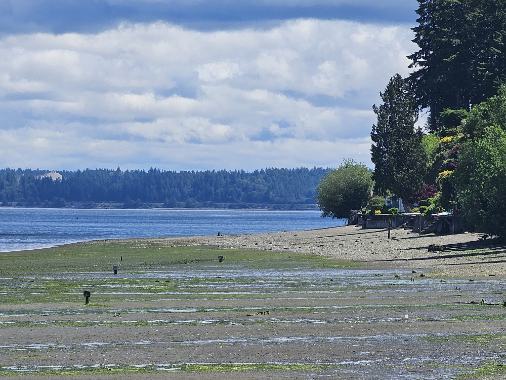 Tolmie State Park Thurston County Washington