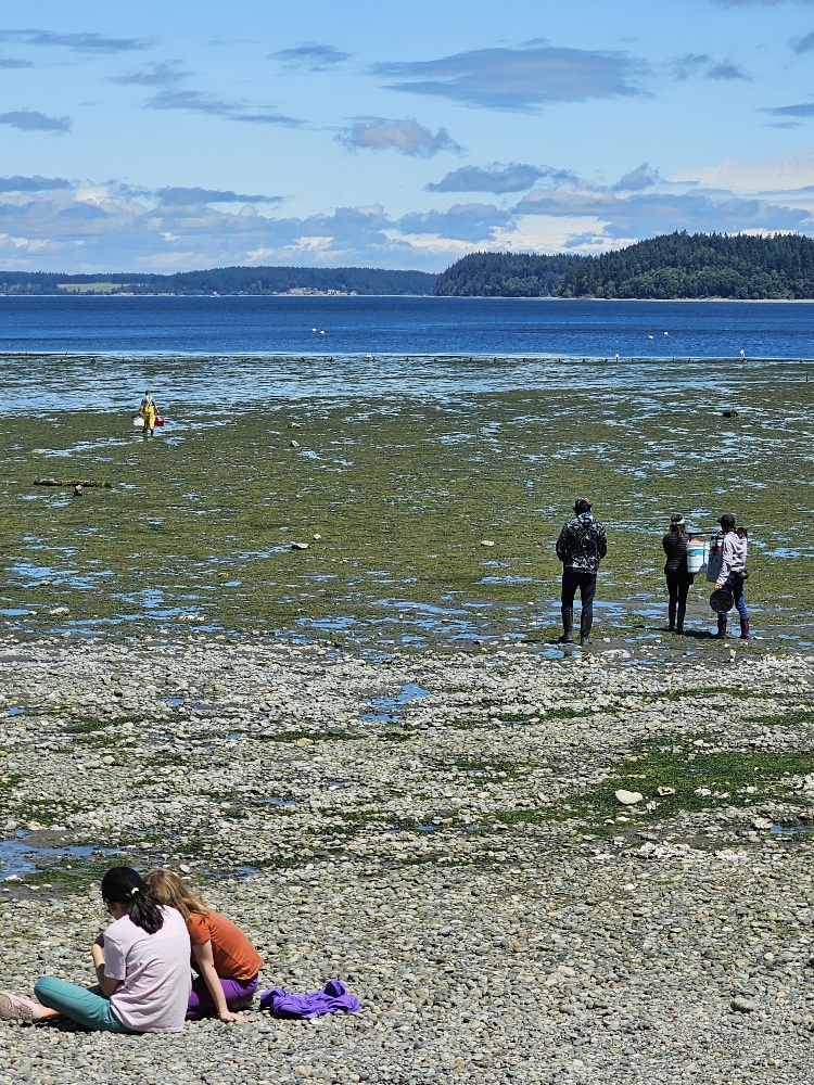 Tolmie State Park Thurston County Washington